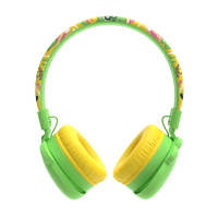 Booma Echo Wireless Headphones